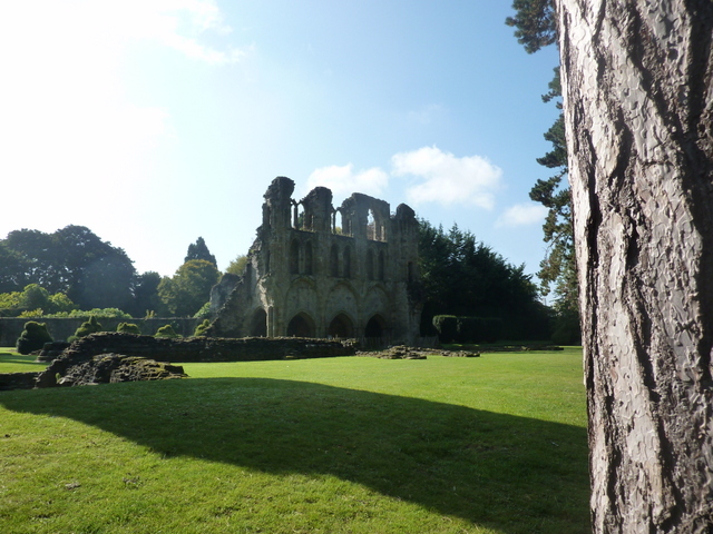 Abbey in the Morning